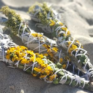 Golden Sage Bundles